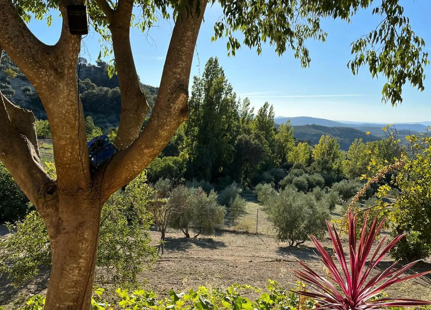 Alojamiento Rural Ermita San Julian Burunchel Holiday home